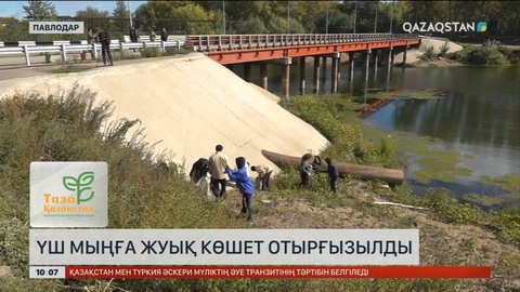 Павлодар облысында 3 мыңға жуық көшет егілді