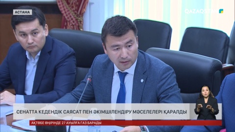 Сенатта кедендік саясат пен әкімшілендіру мәселелері қаралды