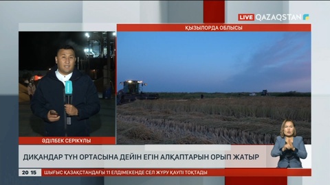Қызылорда облысында диқандар түн ортасына дейін егін алқаптарын орып жатыр