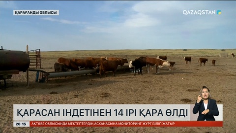 Қарағанды облысының Қарқаралы ауданында карантин енгізілді