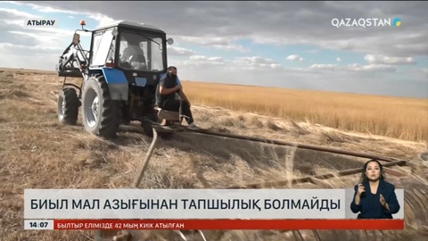 Атырауда мал азығын дайындау жұмыстары аяқталып қалды