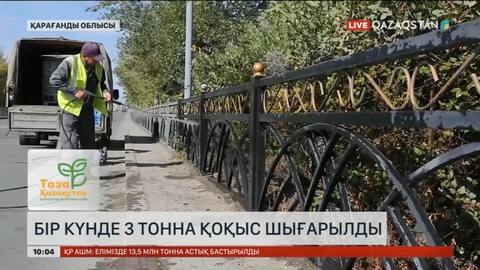 Қарағанды облысында бір күнде 3 тонна қоқыс шығарылды
