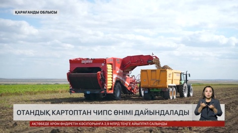 Қарағанды облысында алғаш рет чипс картобы өсірілді