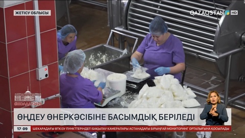 Жолдау: Өңдеу өнеркәсібіне басымдық беріледі