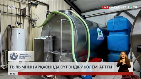 СҚО-да ғылым мен тәжірибенің арқасында сүт өнімі артып келеді