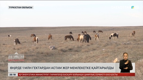 Түркістанда 1 млн гектардан астам жер мемлекетке қайтарылды