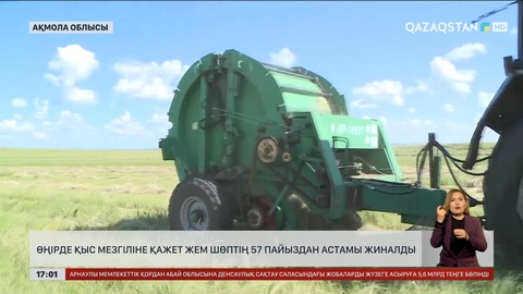 Ақмола облысында қысқы мал азығының 57% жиналды