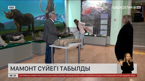 СҚО-да мамонт сүйегі табылды