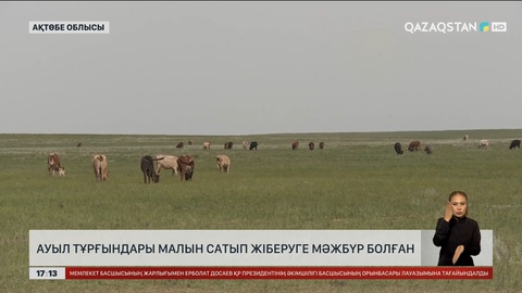 Ақтөбе облысында жайылым жерге талас көбейді