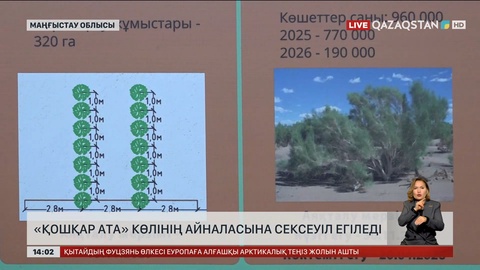 Маңғыстау облысындағы «Қошқар ата» көлін айналдыра сексеуіл егілмек 