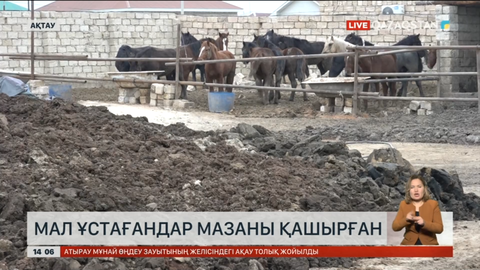 Маңғыстауда тұрғындар қосалқы шаруашылықтардан шыққан жағымсыз иістен зардап шегіп отыр