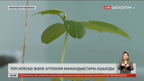 Маңғыстауда тері илеу және агроном мамандығы ашылды