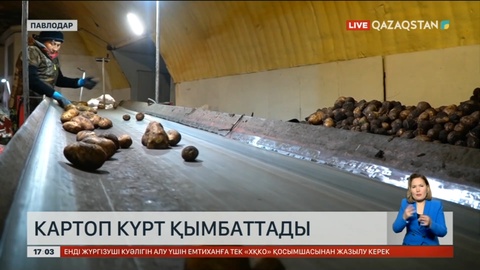 Павлодарда картоп қымбаттап кетті