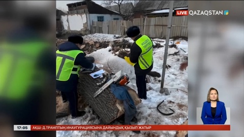 Емен ағаштарын заңсыз кесу фактісі бойынша қылмыстық іс қозғалды