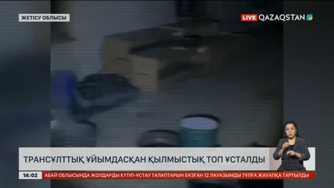Жетісу облысында трансұлттық қылмыстық топ ұсталды