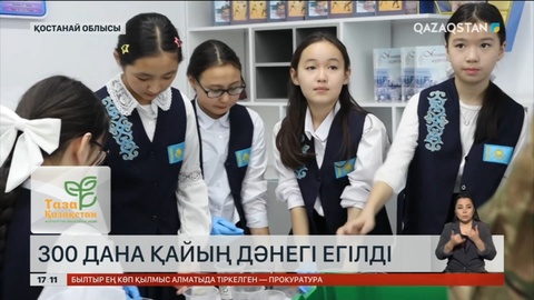 Қостанай облысындағы оқушылар қайыңның дәнегін егіп, сақтап қойды