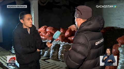 Картоп бағасының аспандауына не себеп?