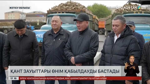 Жетісу облысының қант зауыттары қызылша қабылдай бастады