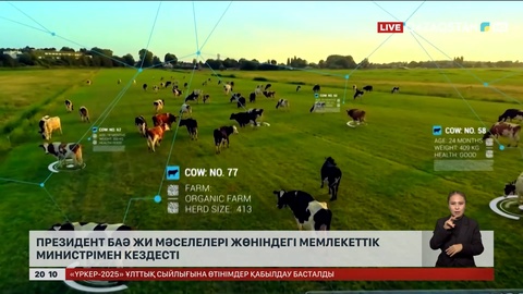 Президент БАӘ ЖИ мәселелері жөніндегі мемлекеттік министрімен кездесті