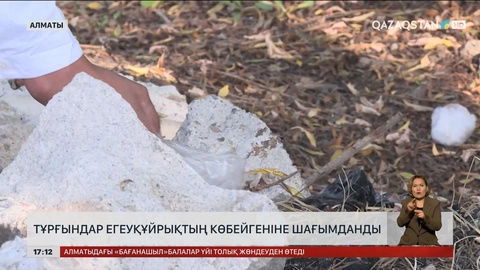 Алматыда егеуқұйрық өріп жүр