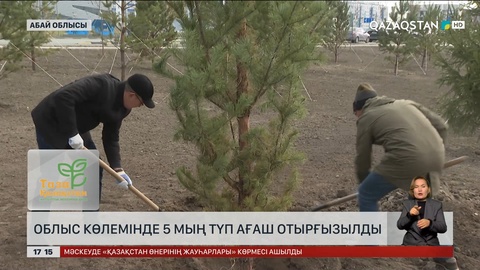 Абай облысында 5 мың түп ағаш отырғызылды