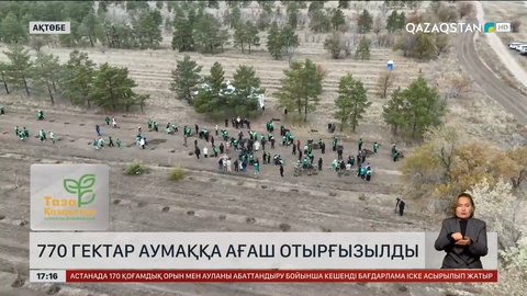 Ақтөбе облысында «Таза Қазақстан» жалпыұлттық экологиялық акциясы аясында 770 гектар аумаққа ағаш егілді