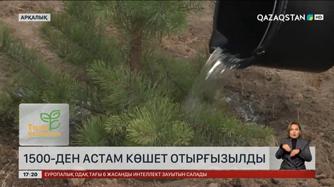 Қостанайда 1500-ден астам көшет отырғызылды