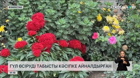 Өзбекстанның Наманган облысы гүл экспорттаушы өңірге айналып келеді