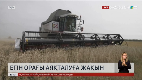 СҚО-да егін орағы аяқталуға жақын