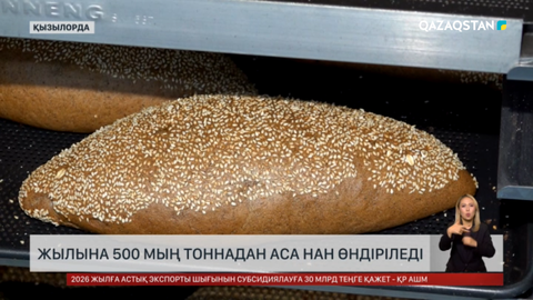 Жылына 500 мың тоннадан аса нан өндіріледі