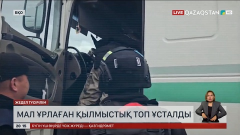БҚО-да мал ұрлаған қылмыстық топ ұсталды