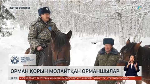 Жетісу облысындағы қорықшы: Қалада тұра алмаймыз