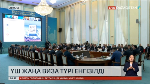 Елімізде 3 жаңа виза түрі енгізілді