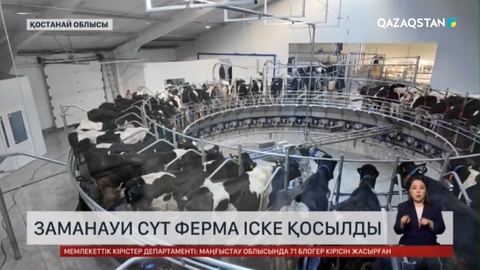 Қостанай облысында сүт фермасы ашылды