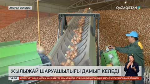 Атырау облысында жылыжай шаруашылығы дамып келеді
