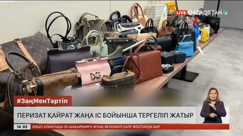 Перизат Қайрат ісіне қатысты жаңа дерек жарияланды