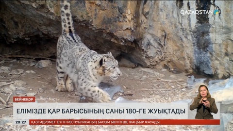 Елімізде қар барысының саны 180-ге жуықтады