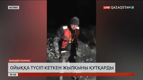 Ақтөбеде мұзда қалған жылқыны құтқарушылар 3 сағат дегенде әрең алып шықты