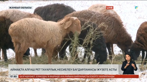 Жамбыл облысында алғаш рет тауарлы несиелеу бағдарламасы жүзеге асты