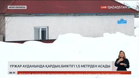Абай облысы Үржар ауданында қардың биіктігі 1,5 метрден асады
