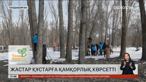 Талдықорғанда жастар құстарға қамқорлық көрсетті