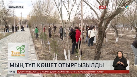 Қызылордалықтар мың түп тал екті