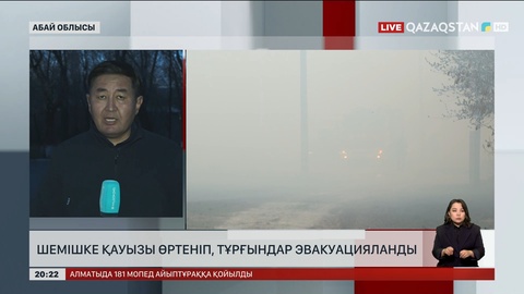 Семей іргесіндегі Приречный ауылында үйілген шемішке қауызы өртенген