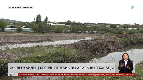 Түркістан облысында жылыжайдың кесірінен жайылым тарылған