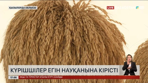 Қызылорда облысында күріш егу басталды