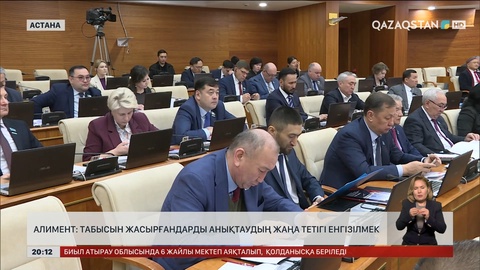 Алимент: Табысын жасырғандарды анықтаудың жаңа тетігі енгізілмек