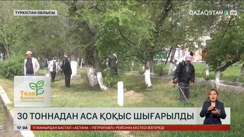 Түркістан облысында 30 тоннадан аса қоқыс шығарылды