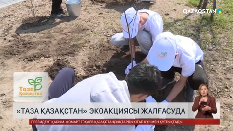 Қарағандыдағы «Алаш» скверіне жүзден аса көшет екті