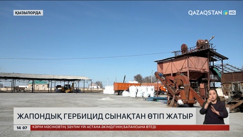 Қызылордада жапондық гербицид сынақтан сәтті өтті