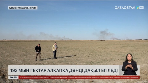 Қызылорда облысында 193 мың гектар алқапқа дәнді дақыл егіледі